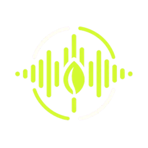 Seed Audio AI
